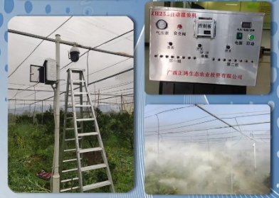 20240920115801139-微信截图_20240920115754