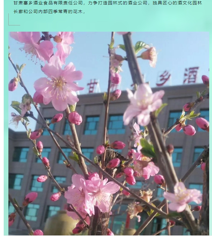 20240929134333759-微信截图_20240929134218