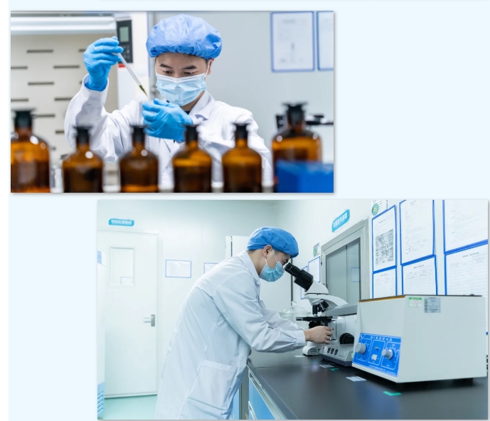 20241008092639333-微信截图_20241008092548