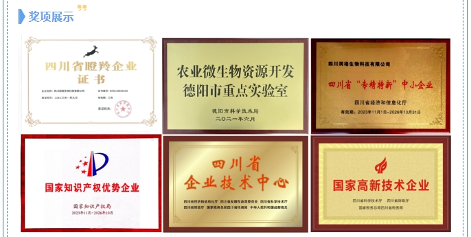 20241101094154786-微信截图_20241101094131