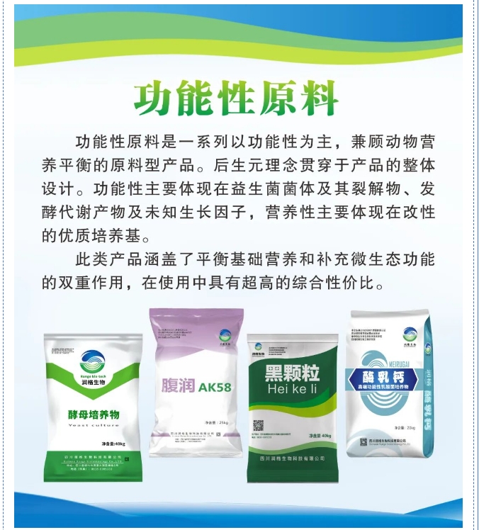 20241101094155513-微信截图_20241101094151