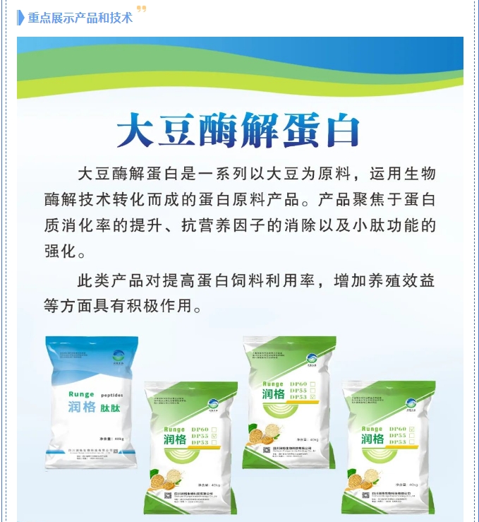 20241101094155827-微信截图_20241101094142