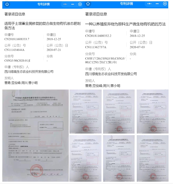 20241107090746782-微信截图_20241107090634