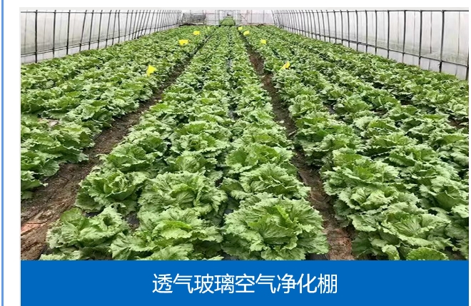 20241107092223390-微信截图_20241107092024