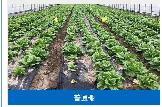 20241107092223922-微信截图_20241107092032