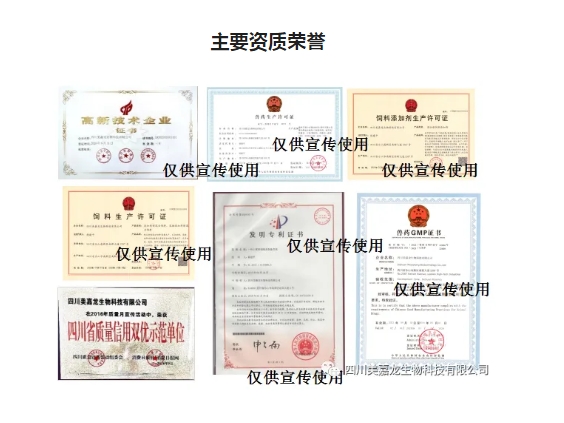 20241115092903600-微信截图_20241115092758