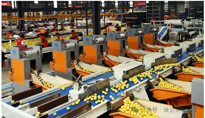 20241118132756514-微信截图_20241118132653