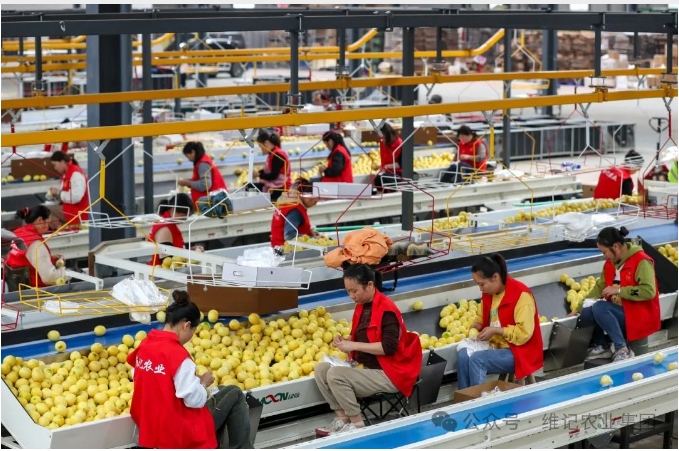 20241118132757783-微信截图_20241118132702