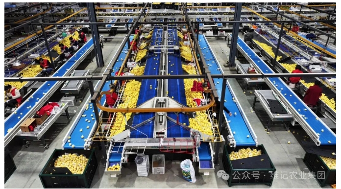 20241118132757787-微信截图_20241118132629