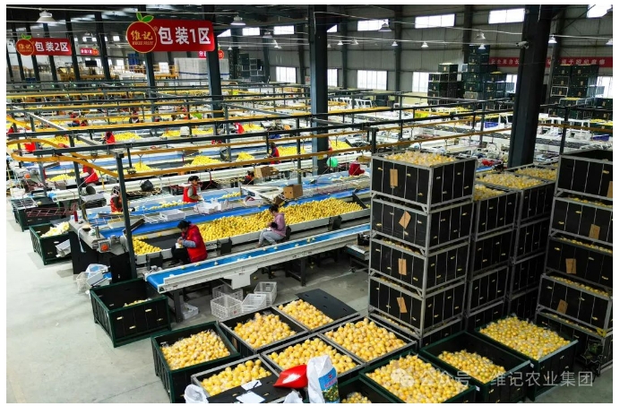 20241118132757139-微信截图_20241118132636