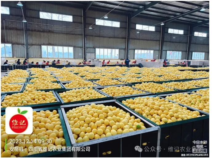 20241118132758876-微信截图_20241118132645