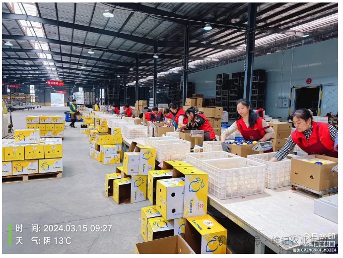 20241118132758606-微信截图_20241118132727