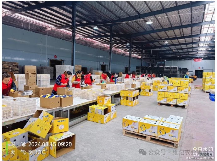 20241118132758438-微信截图_20241118132710