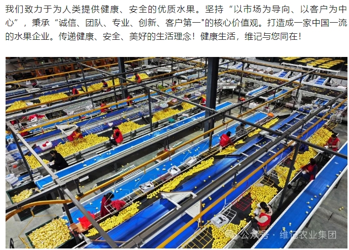 20241118132758883-微信截图_20241118132618