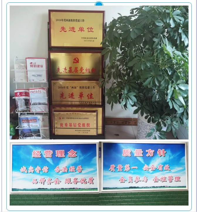 20241121092523526-微信截图_20241121092323