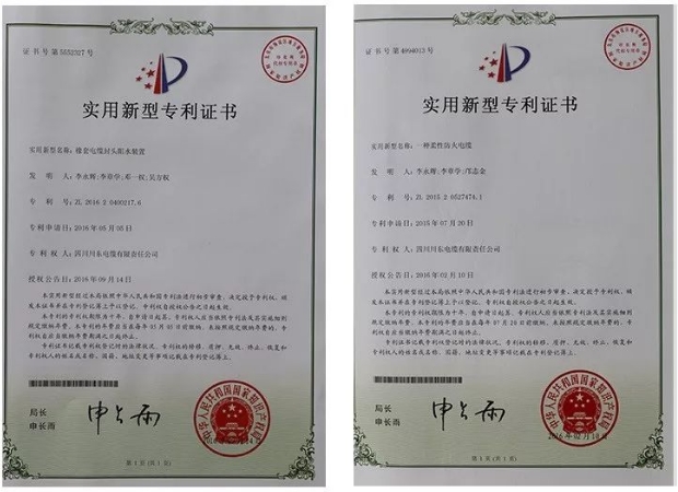 20241125133133752-微信截图_20241125133059