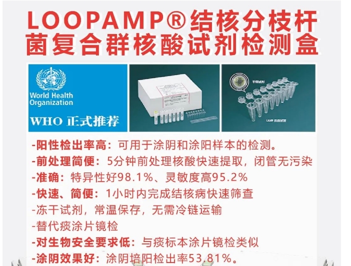 20241217132911718-微信截图_20241217132814