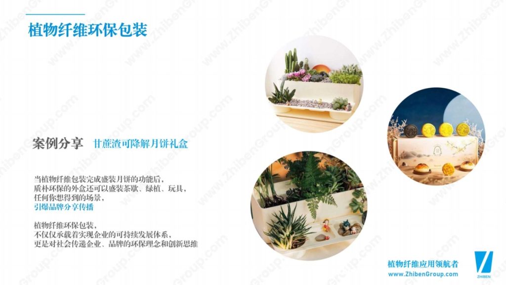 20250106115833688-微信截图_20250106115727