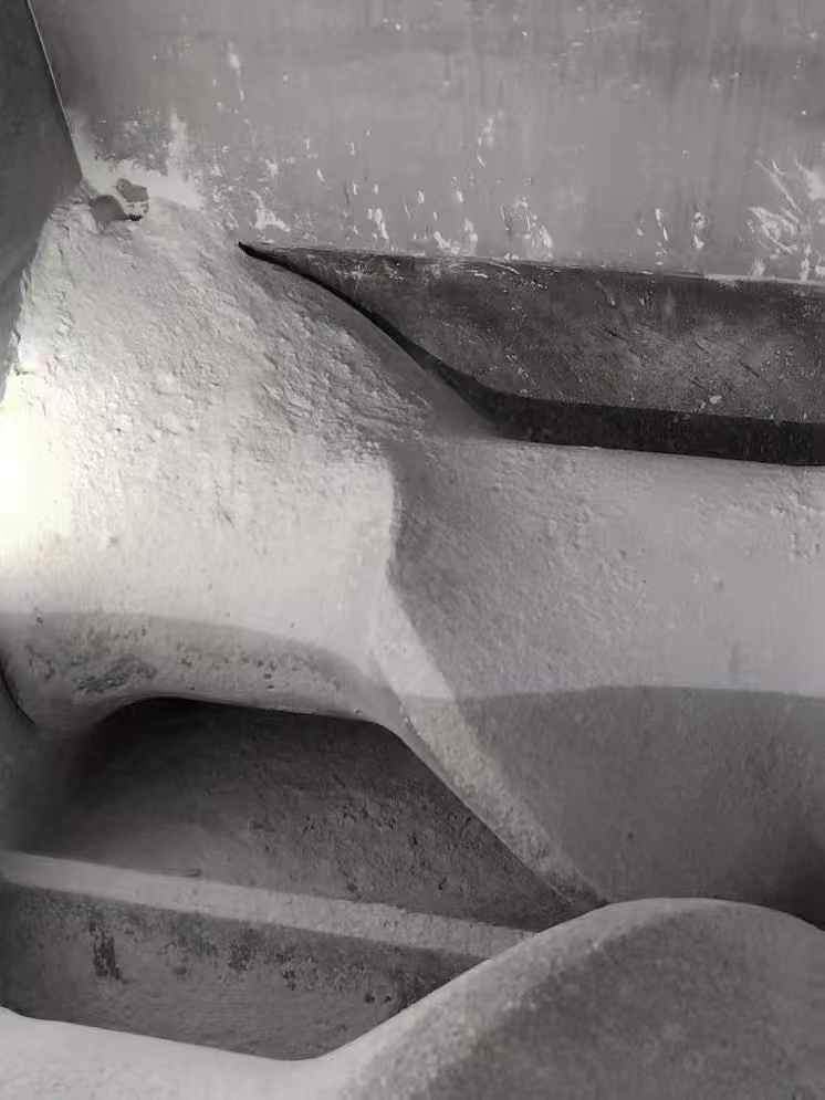 20250303152033552-微信图片_20250303151944