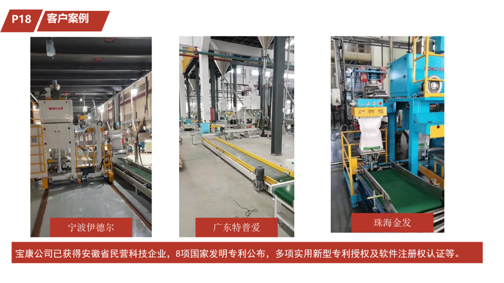 20260106104721484-提取自合肥宝康企业简介202510月版_33