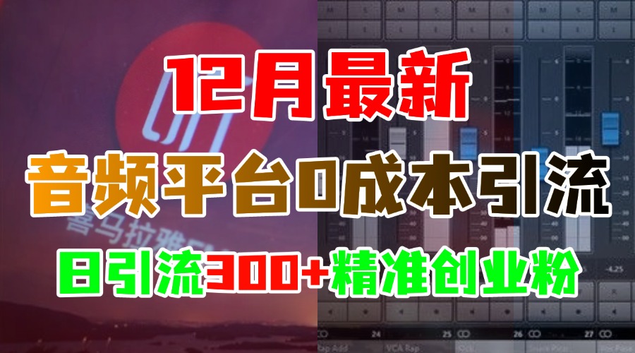 12月最新:音频平台0成本引流,日引300+精准创业粉采购|汽车产业|汽车配件|机加工蚂蚁智酷企业交流社群中心